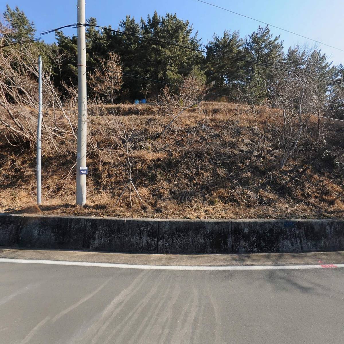 네르하21펜션 A동_3