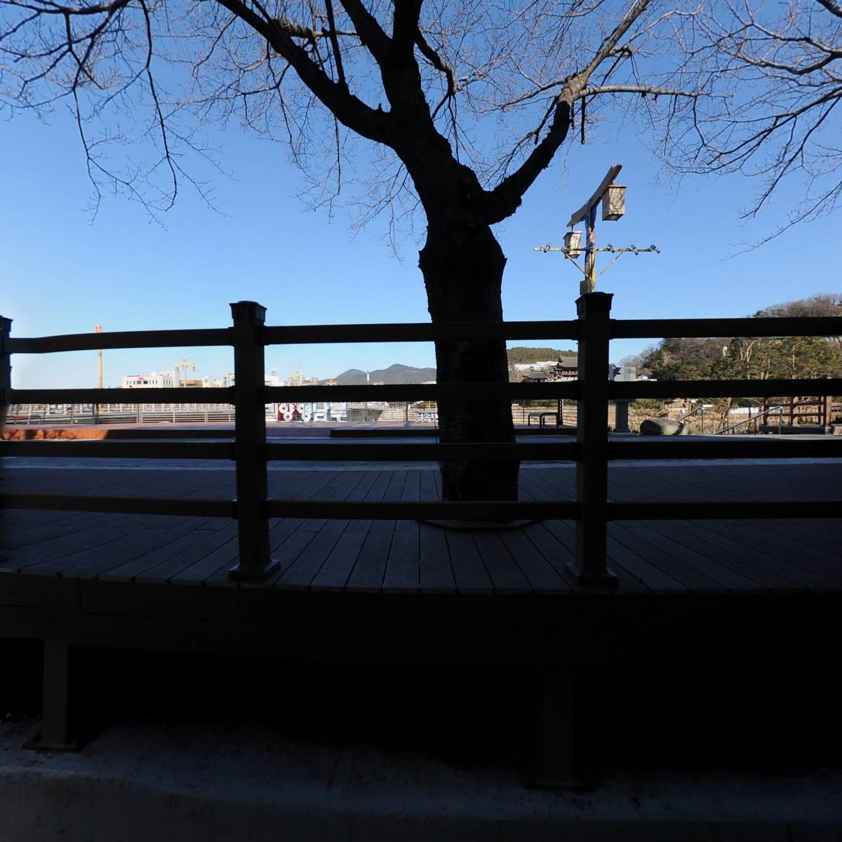 서울삼계탕_3