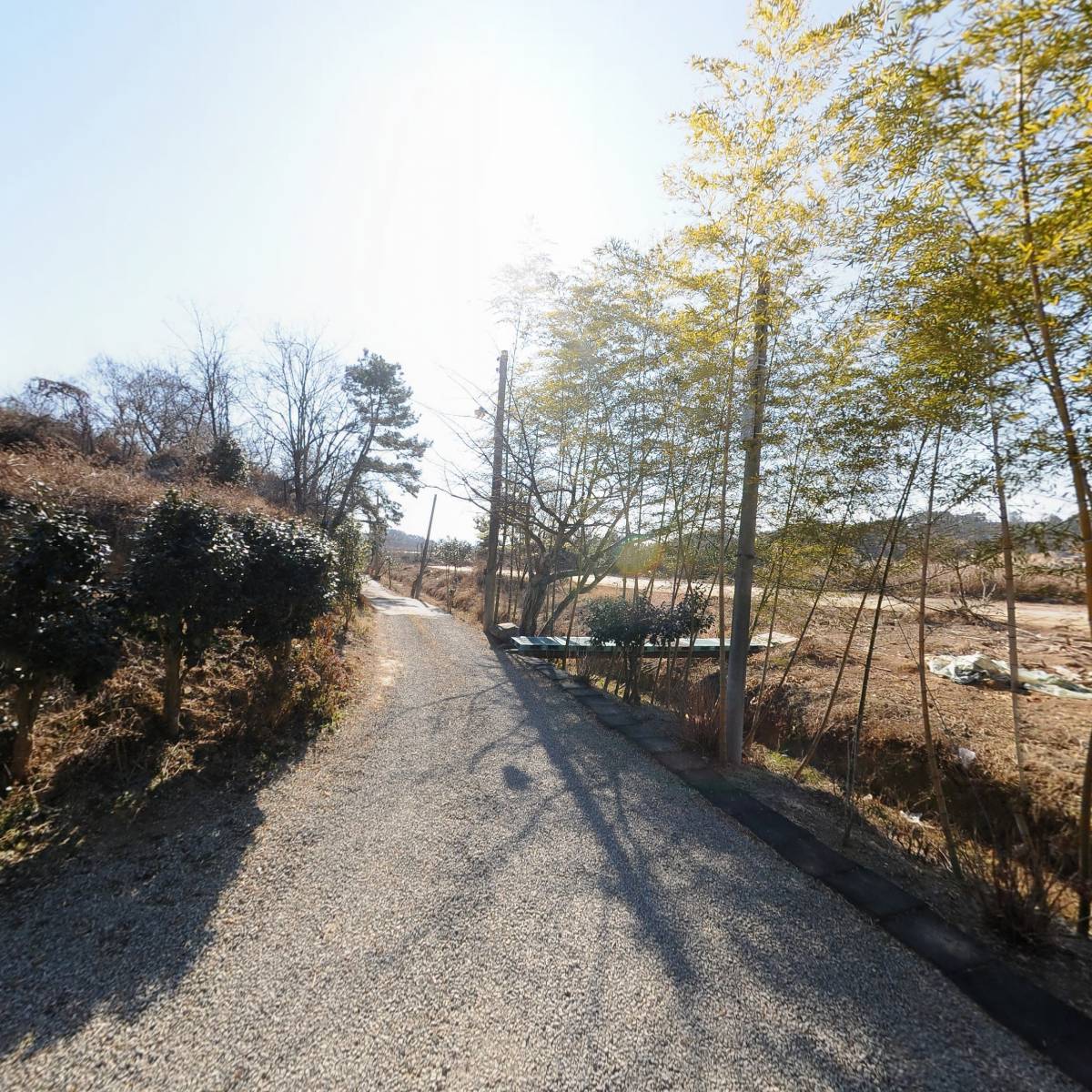 한국불교금강선원 마야사_2