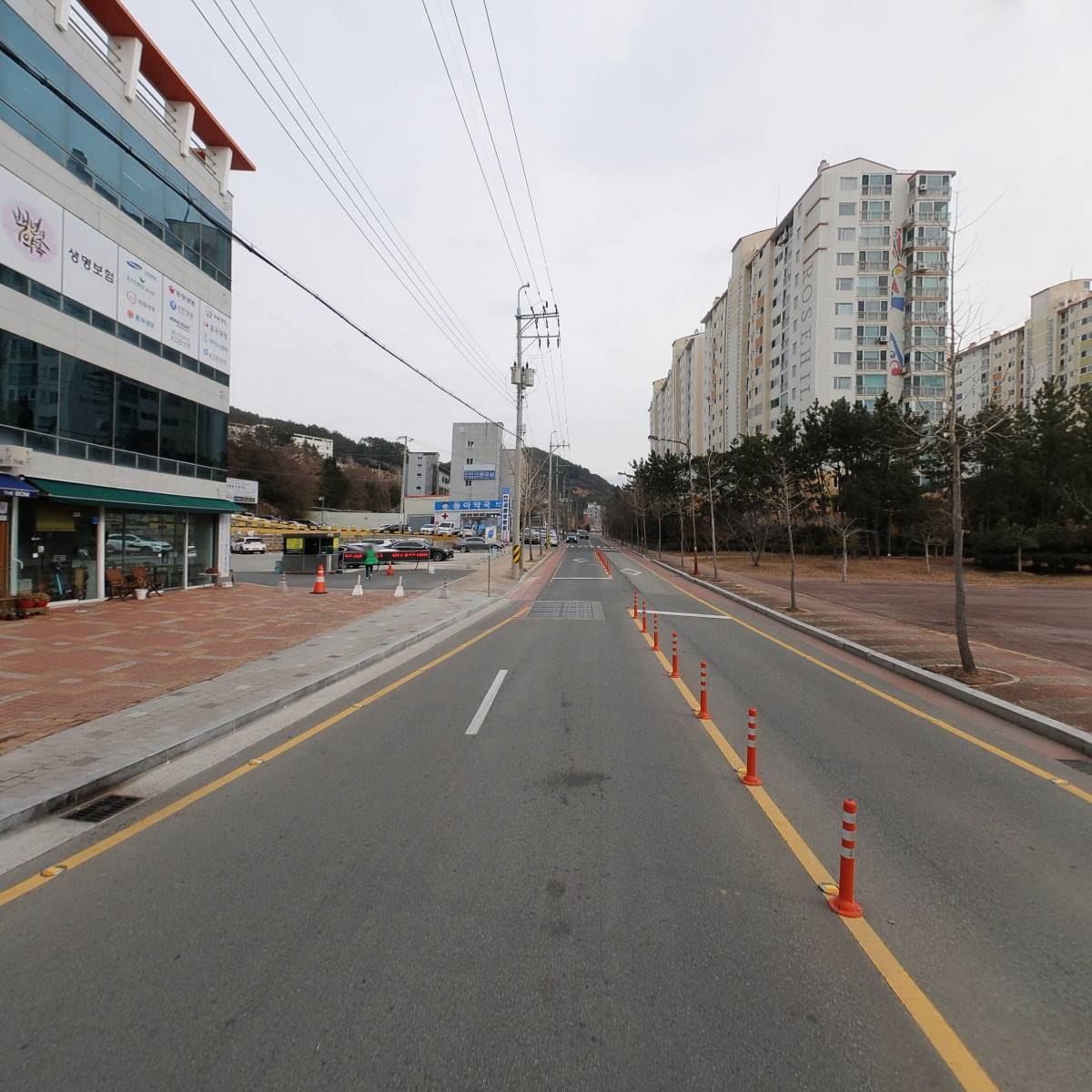 일랑더치_2