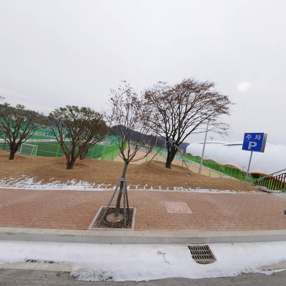 봉화군체육회_3