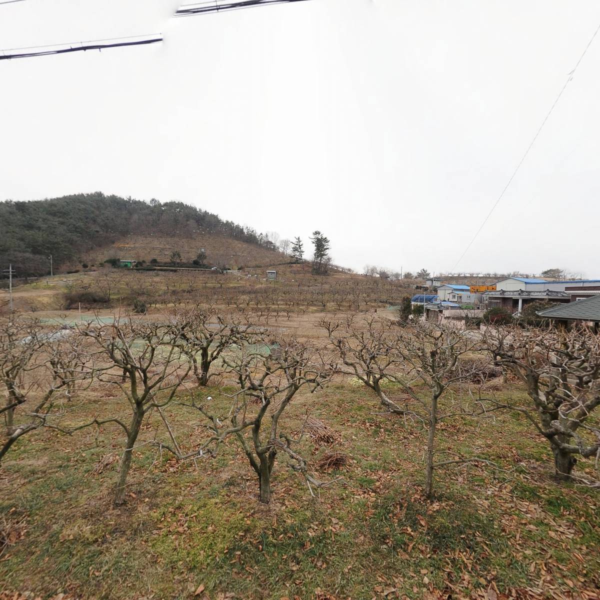 박연희 태양광_3