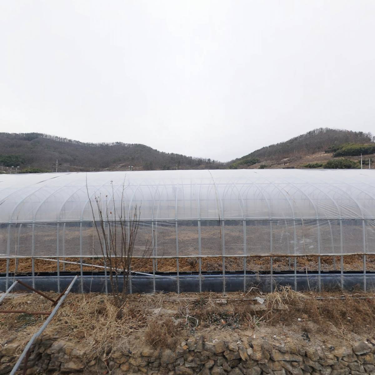 농업회사법인 대곡친환경 합자회사