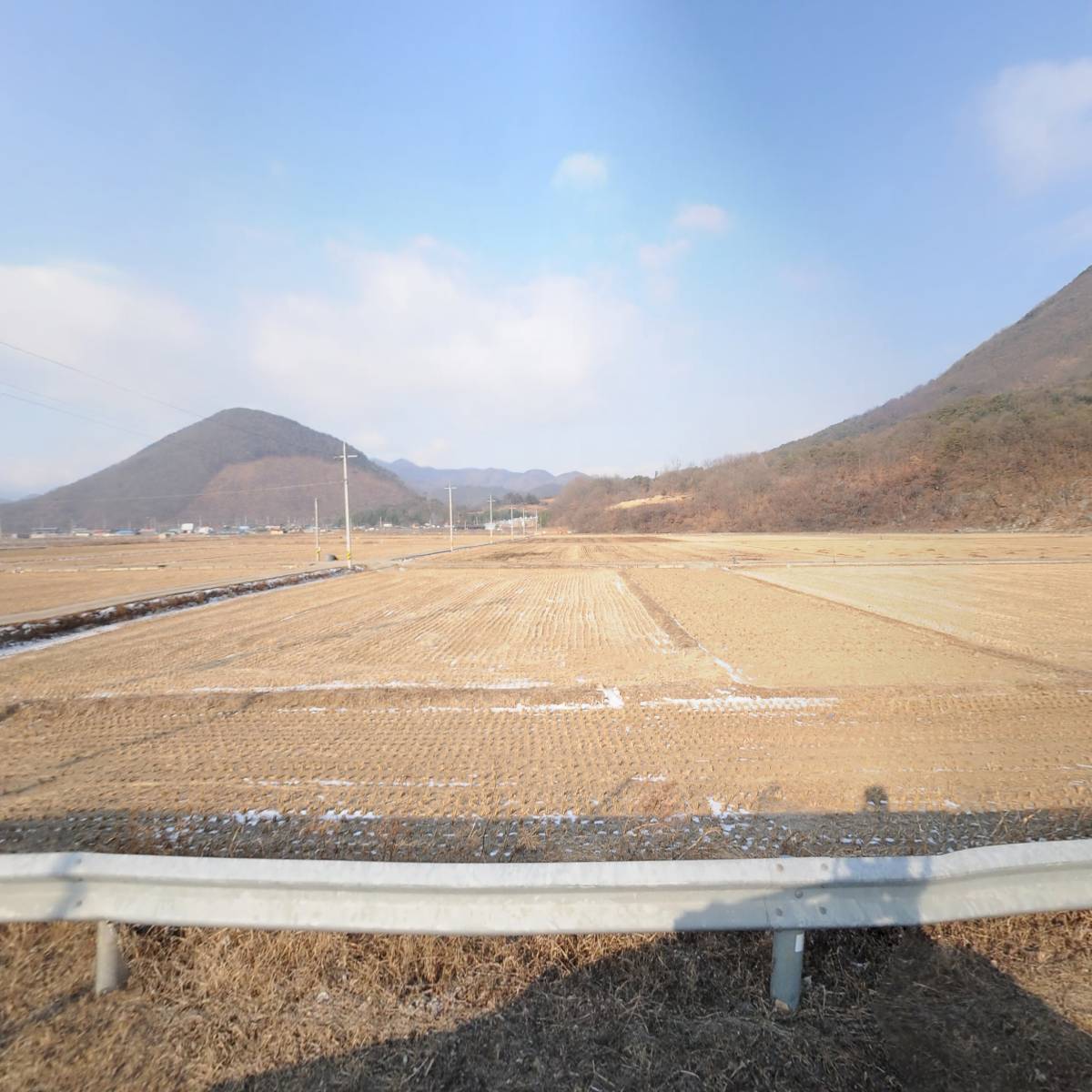 엔도씨