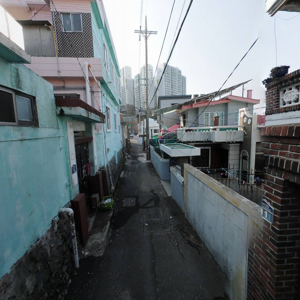 디올리_2