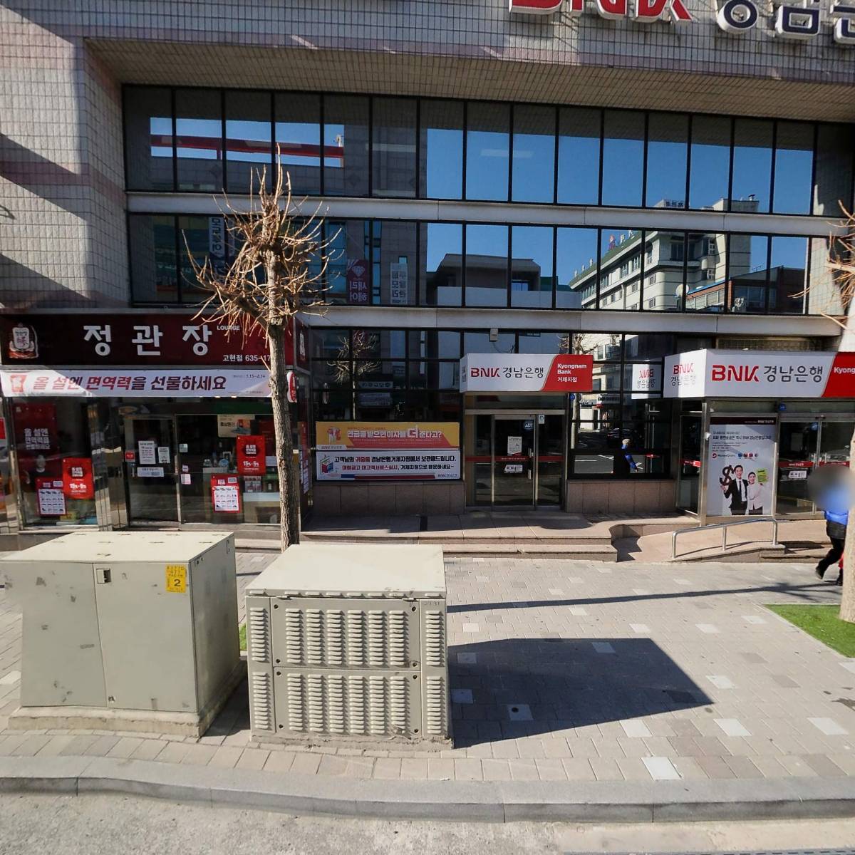정관장홍삼고현점