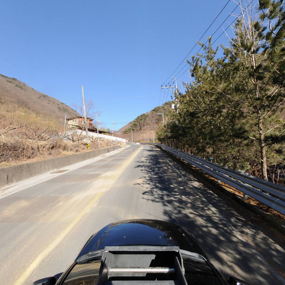 수림정_4