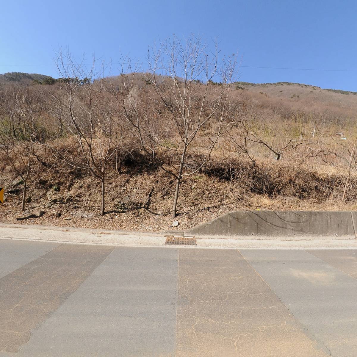 수림정_3