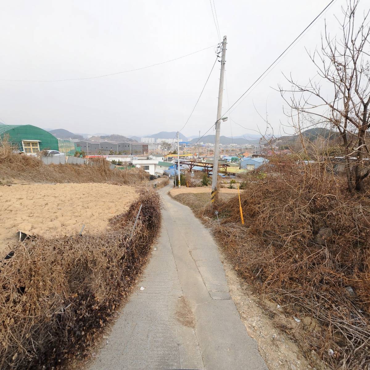 해냄미크론_2