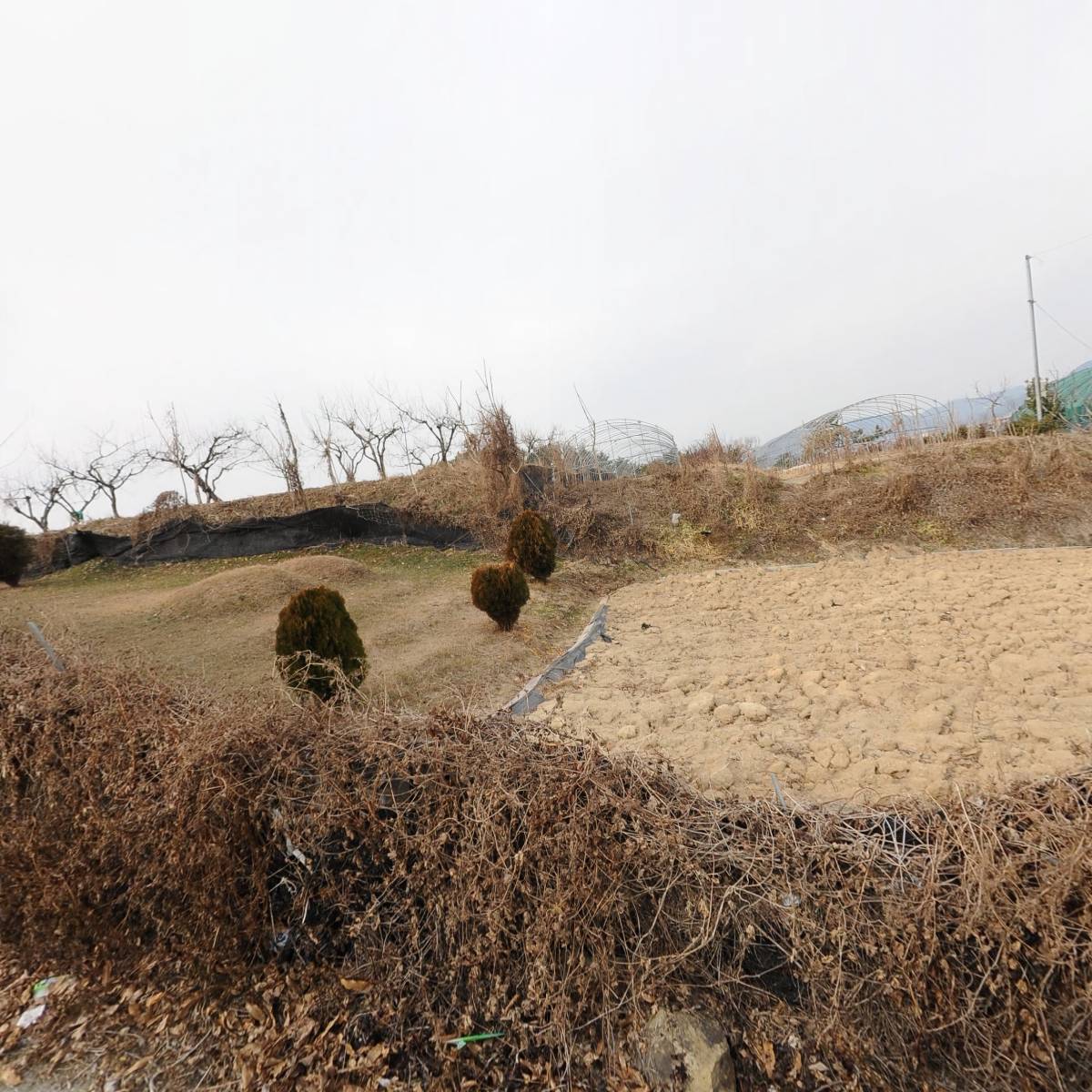 해냄미크론