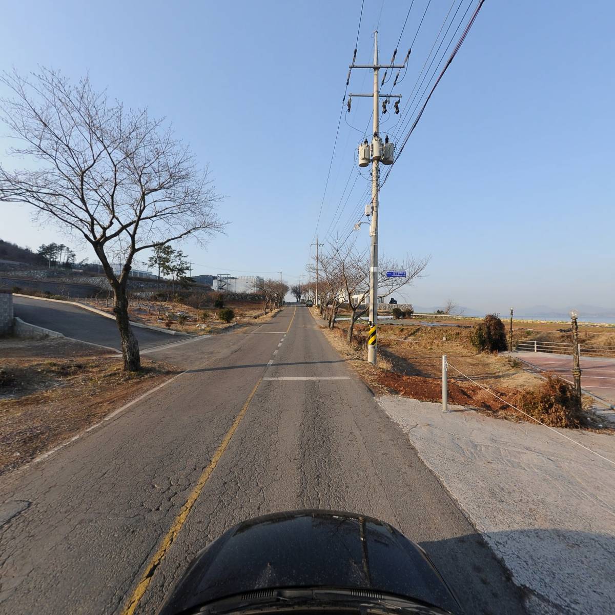 벌떡새우거성수산_4