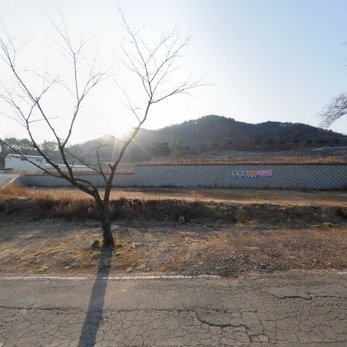 벌떡새우거성수산_3