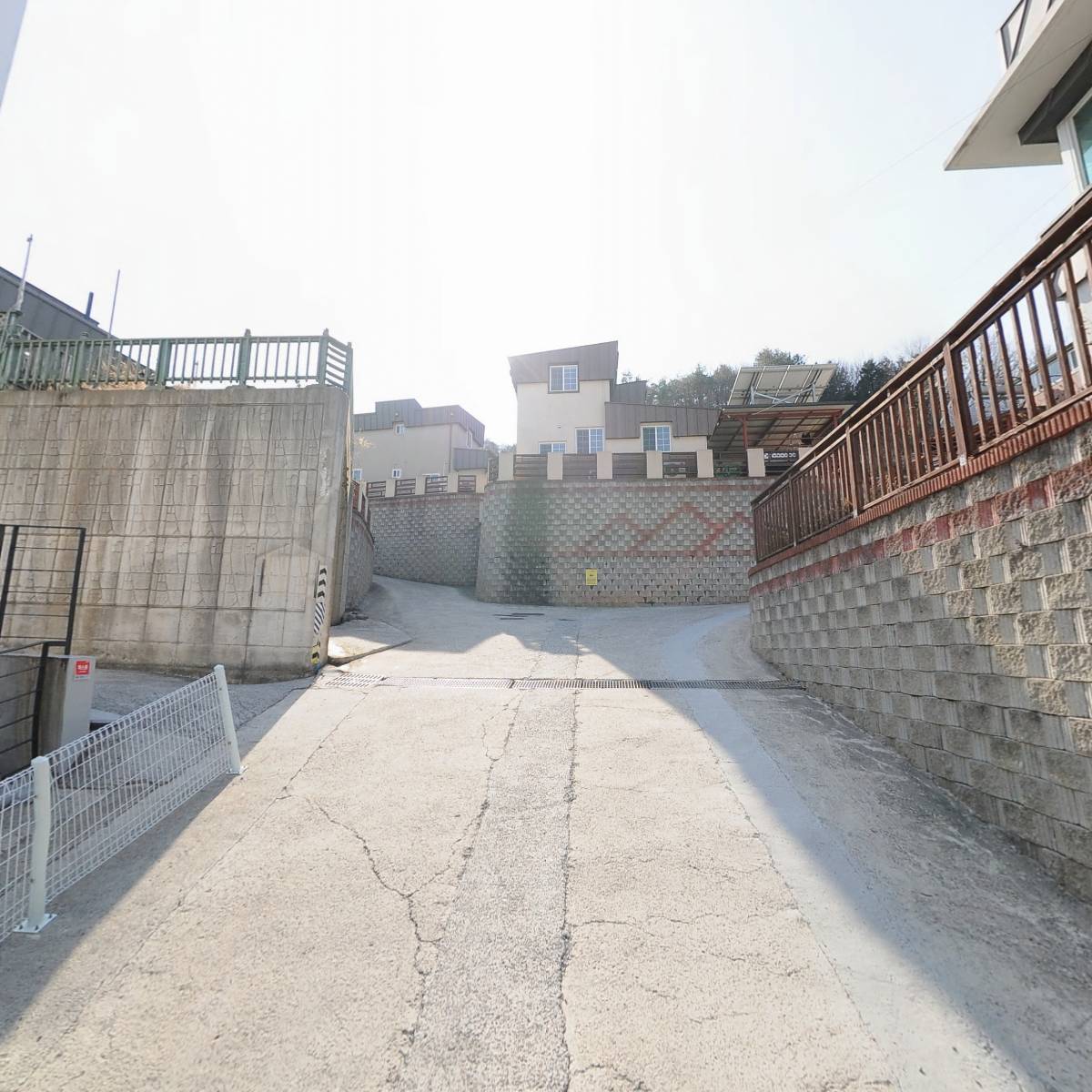 더 콩_2
