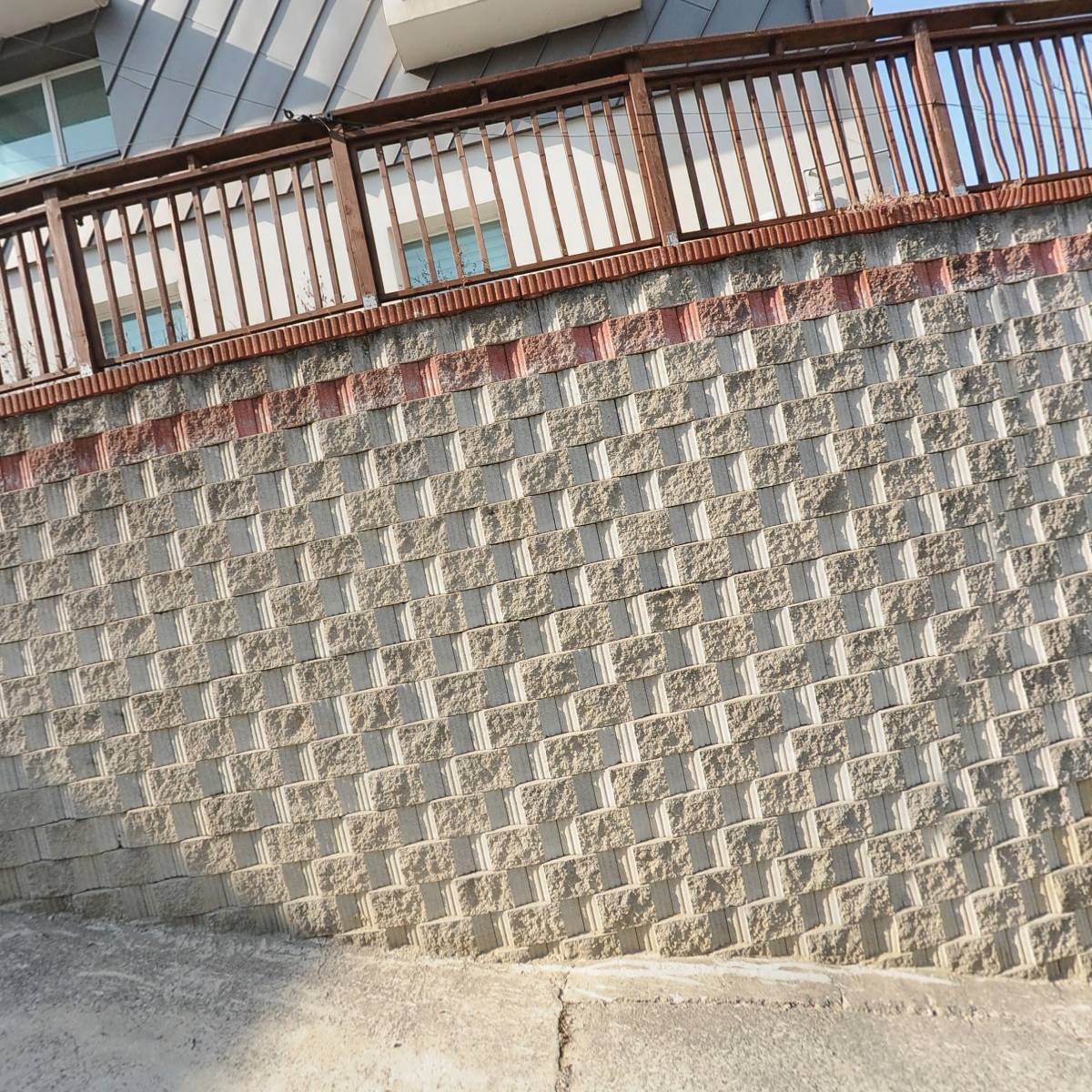 더 콩_3