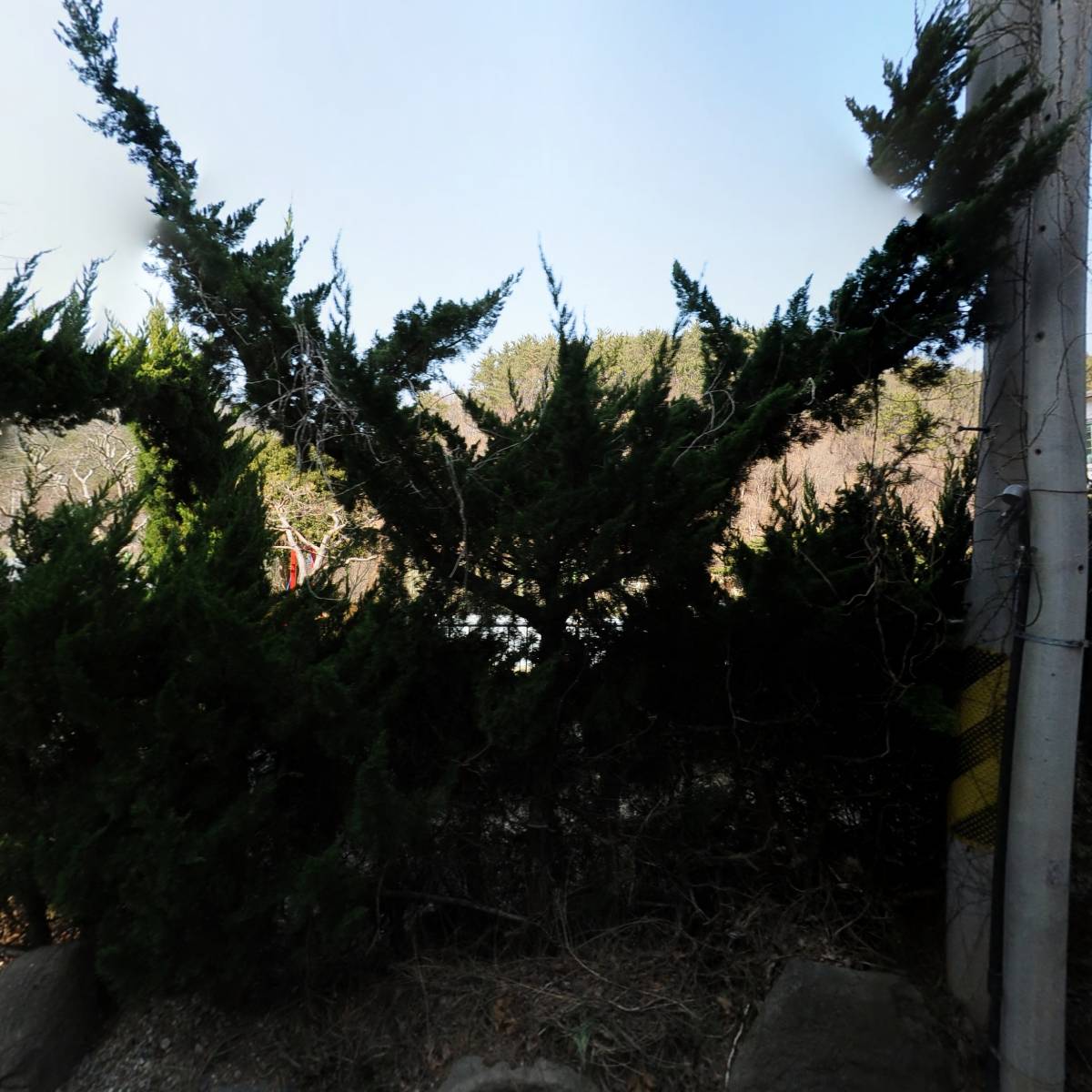오디세이창의융합어학원_3