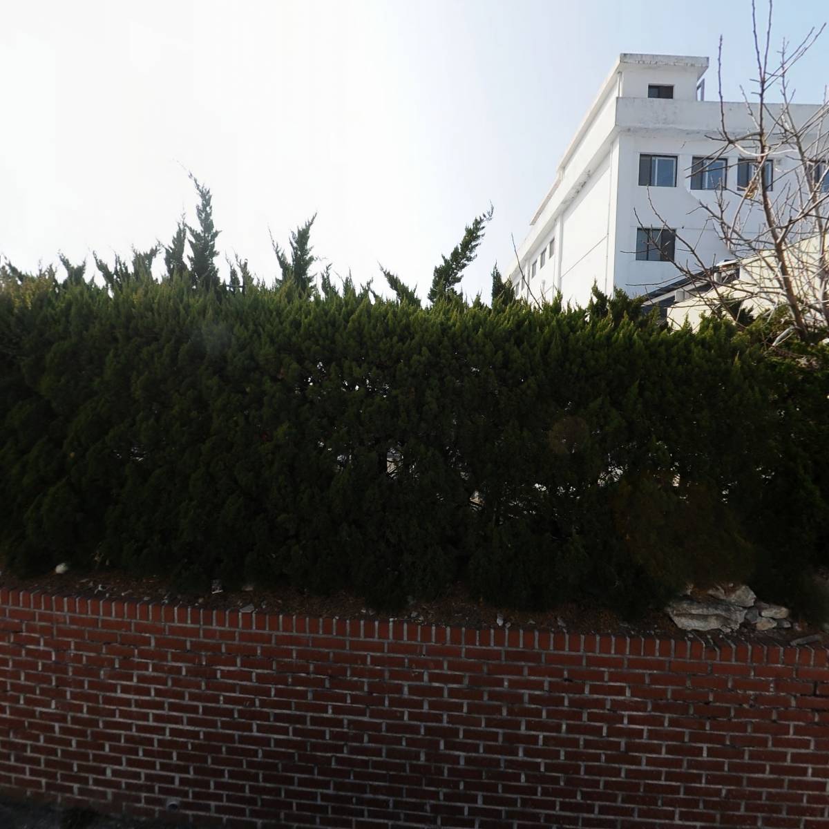 삼천포유람선협회