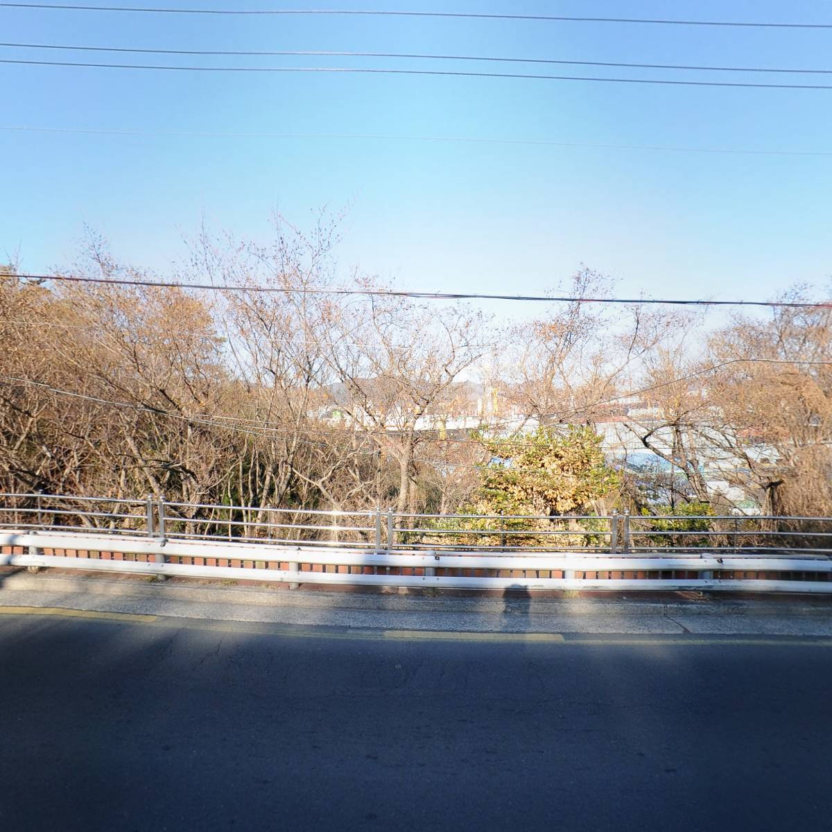 하하호호프렌드