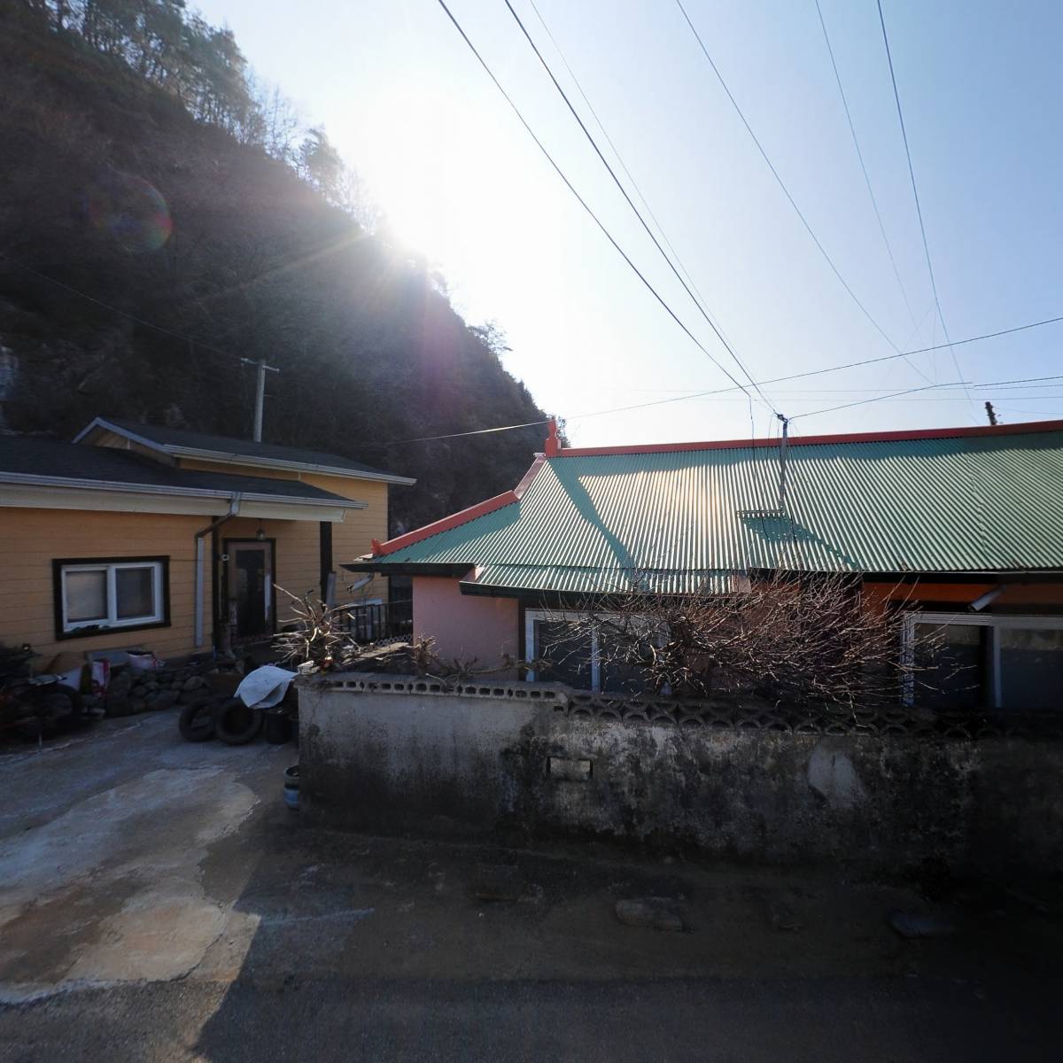 초계한우