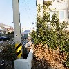 벨루가 어쿠스틱 클럽(Beluga Acoustic club)