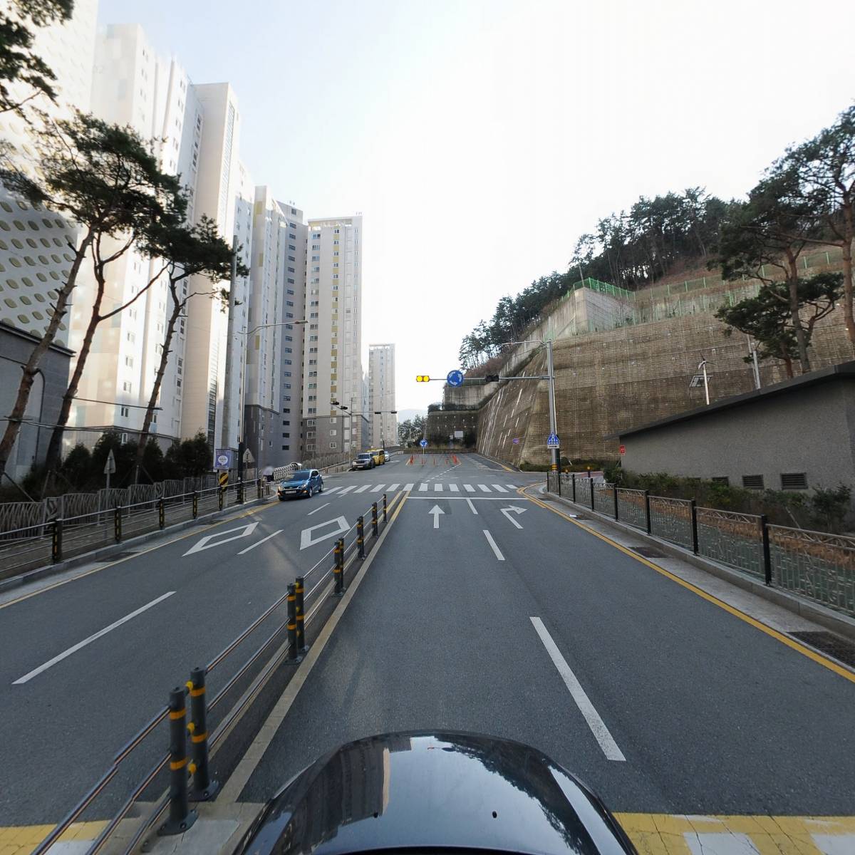 비고르바른건강_4