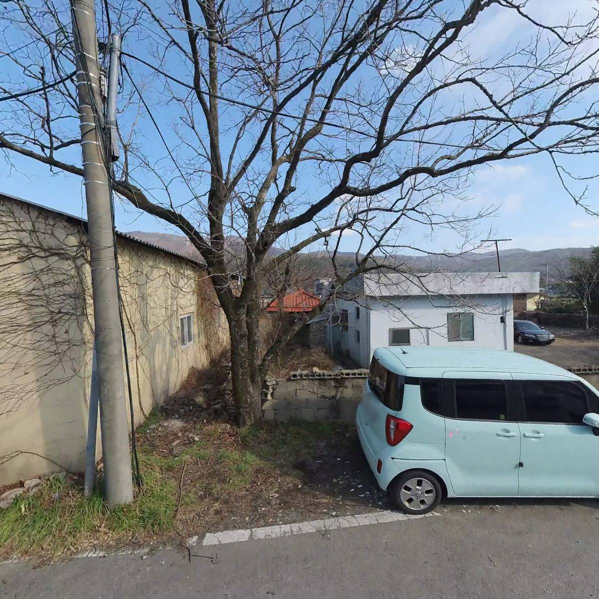 주식회사 비비에프（BBF）