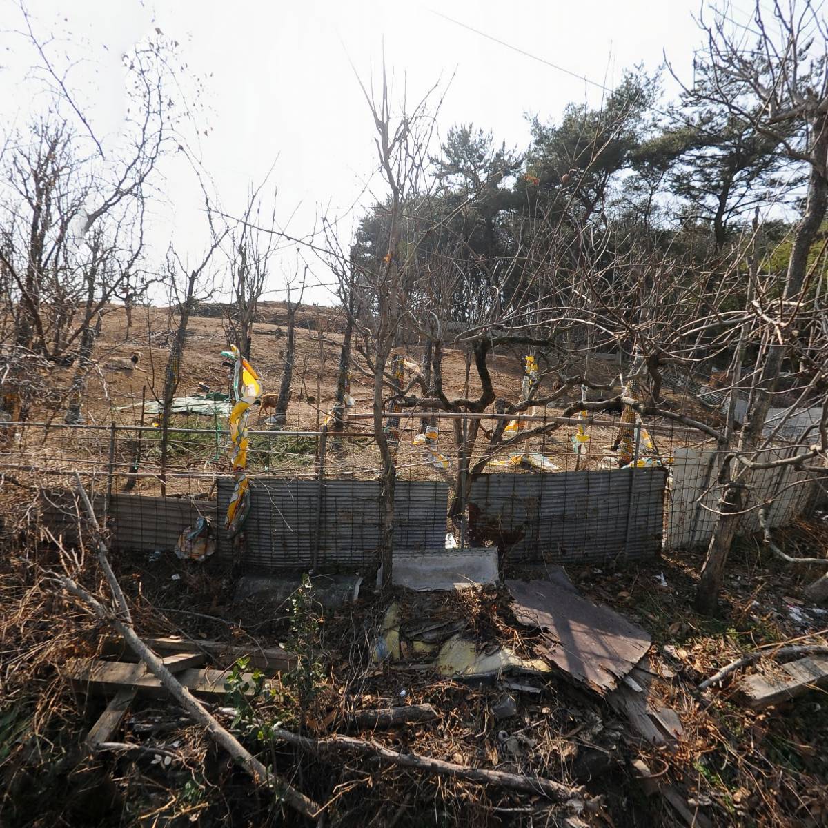 부산우유 사천대리점