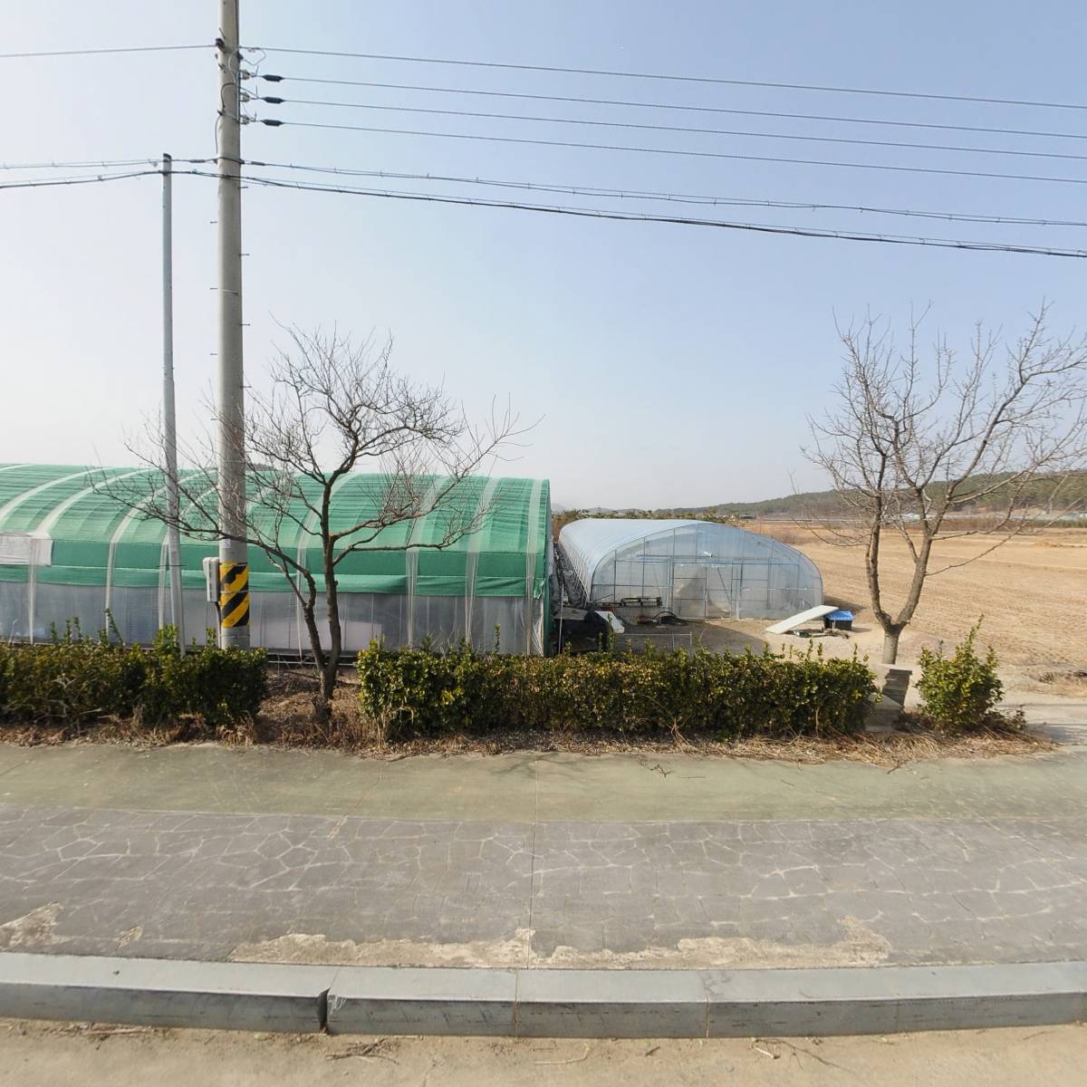 자전거딸기