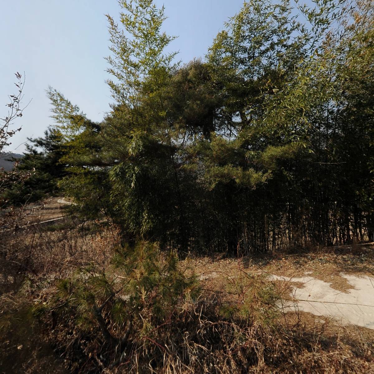 평창이씨 익평공파 노은 종중회_3