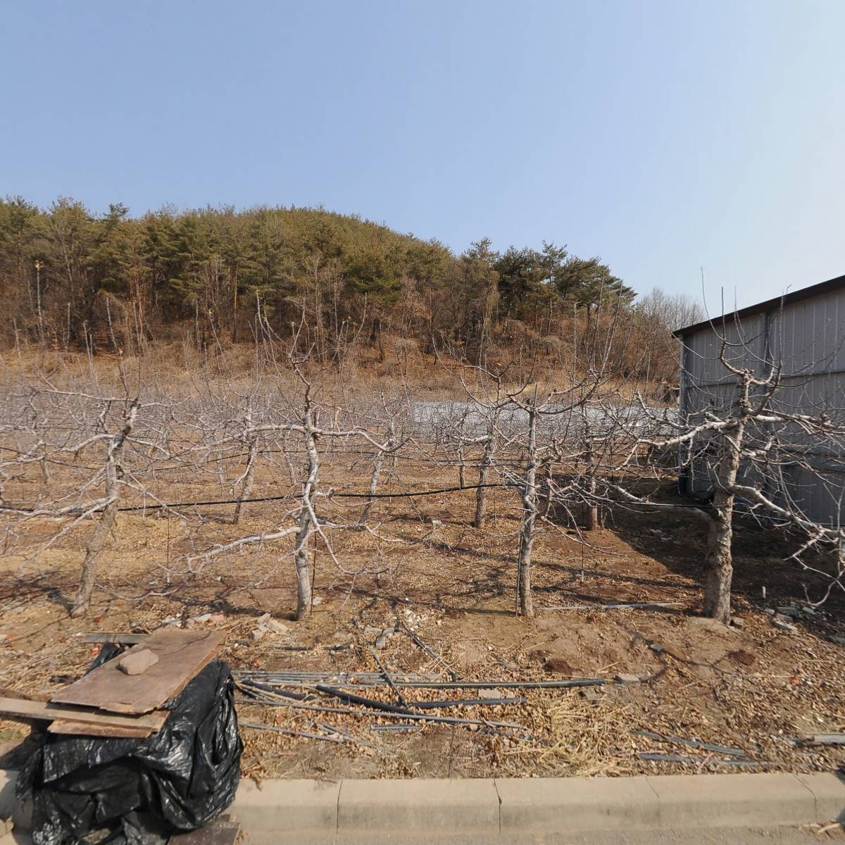 농업회사법인영양천궁허브(주)