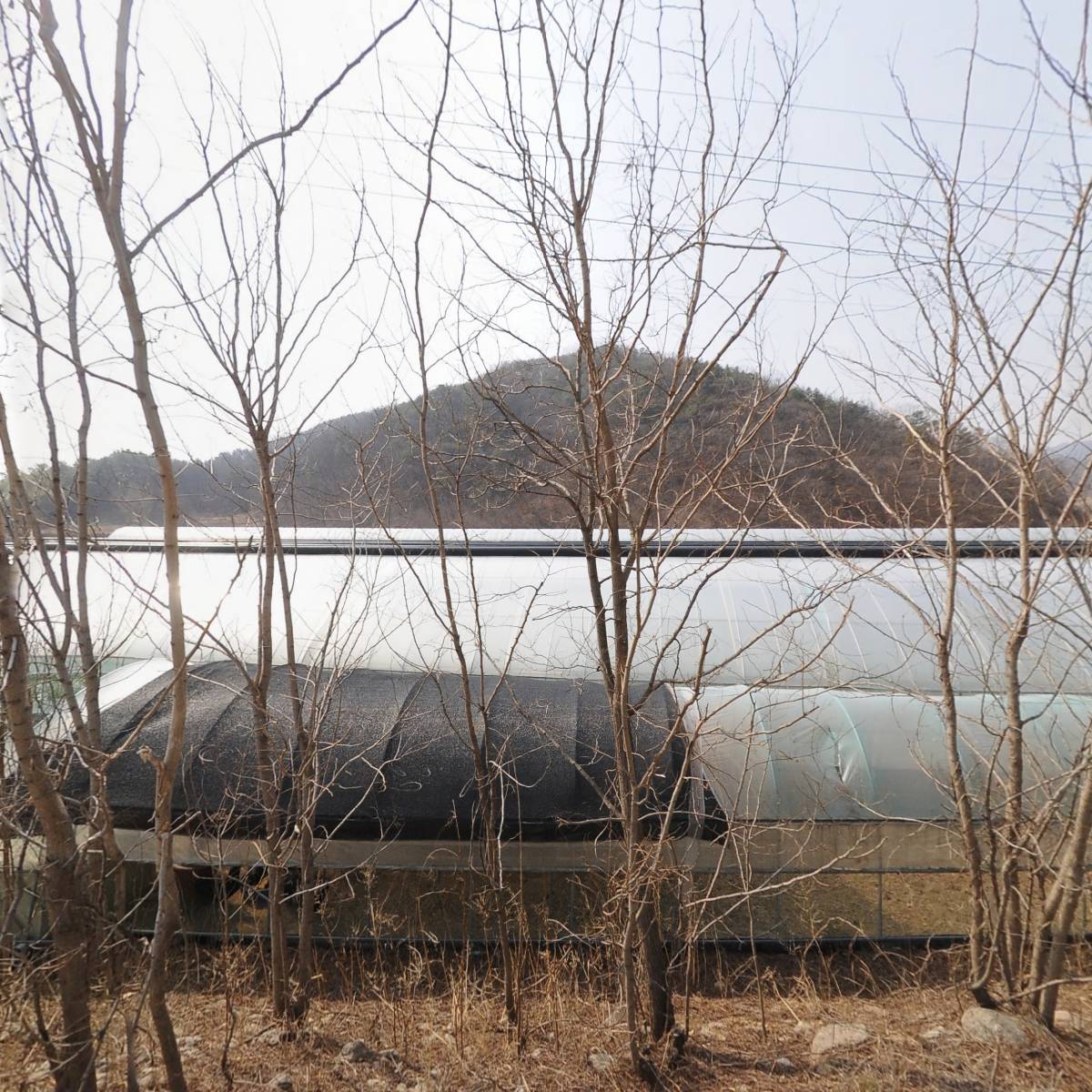 바른농원_3
