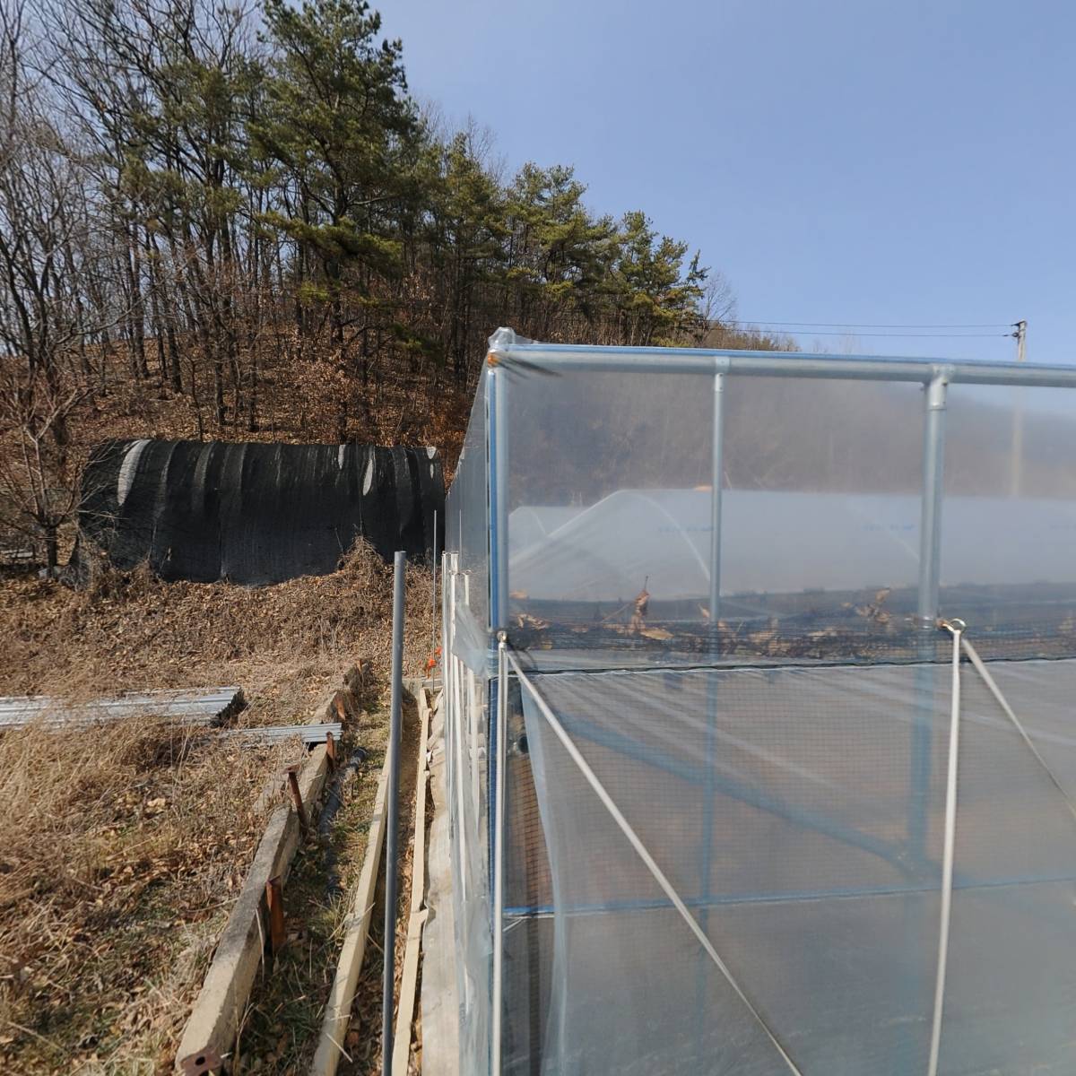 농업회사법인(주)원더풀월드와이너리
