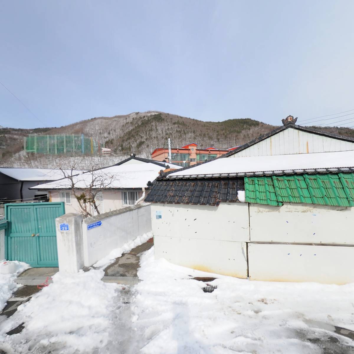 여성크로커다일_3