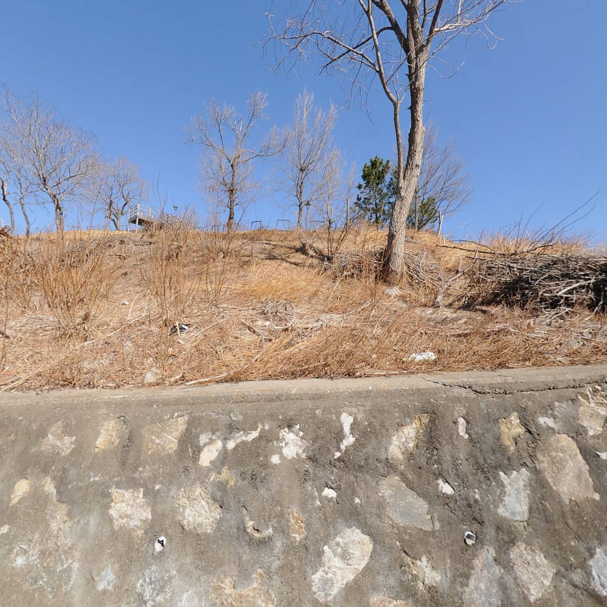（사）한국문인협회 삼척지부_3