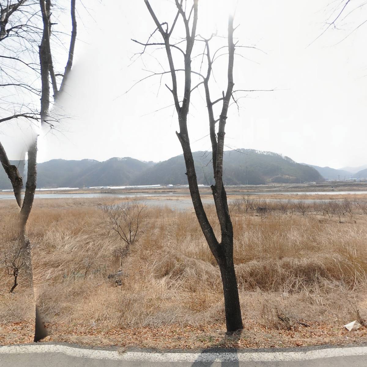 주천배드민턴클럽