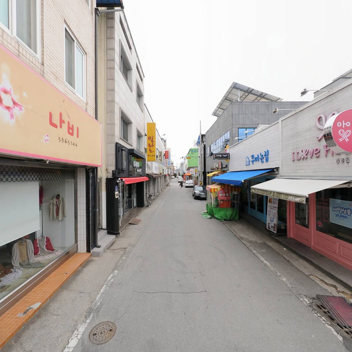 나비_2