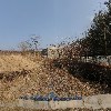아르테논 Art+Parthenon