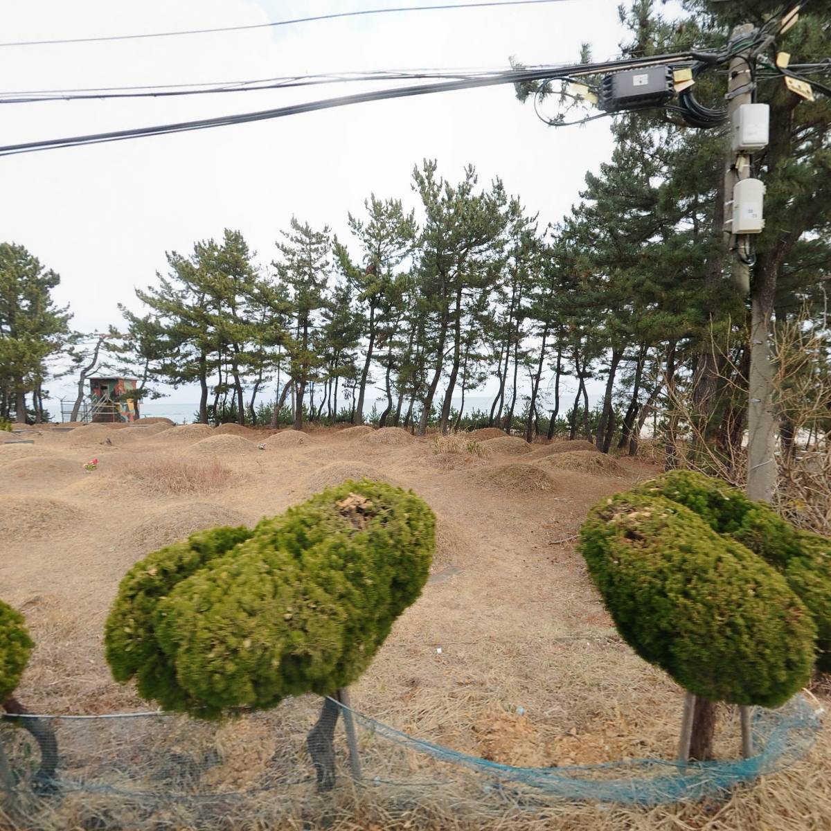 항구회타운,항구가누리펜션