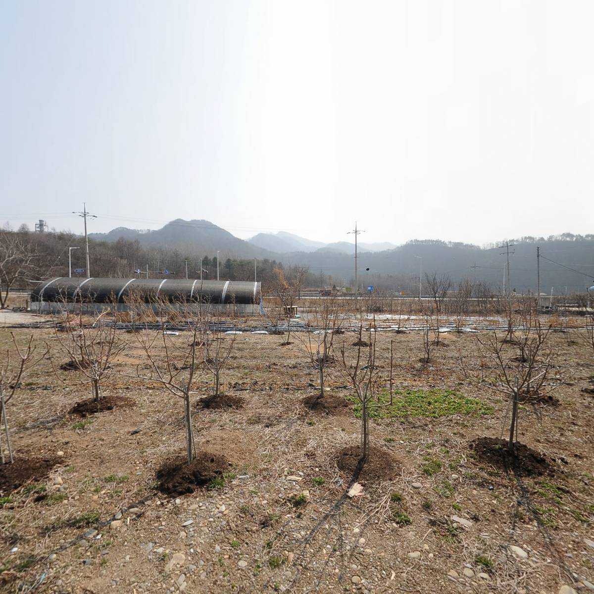 예밀포도마을팜스테이영농조합법인_3