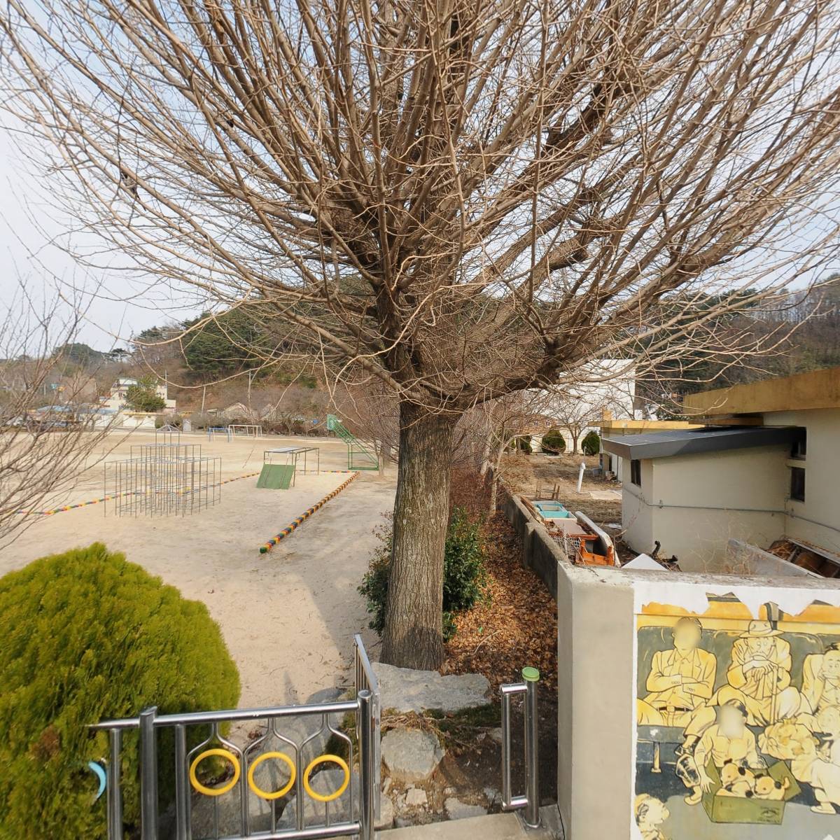 반시홍시_3