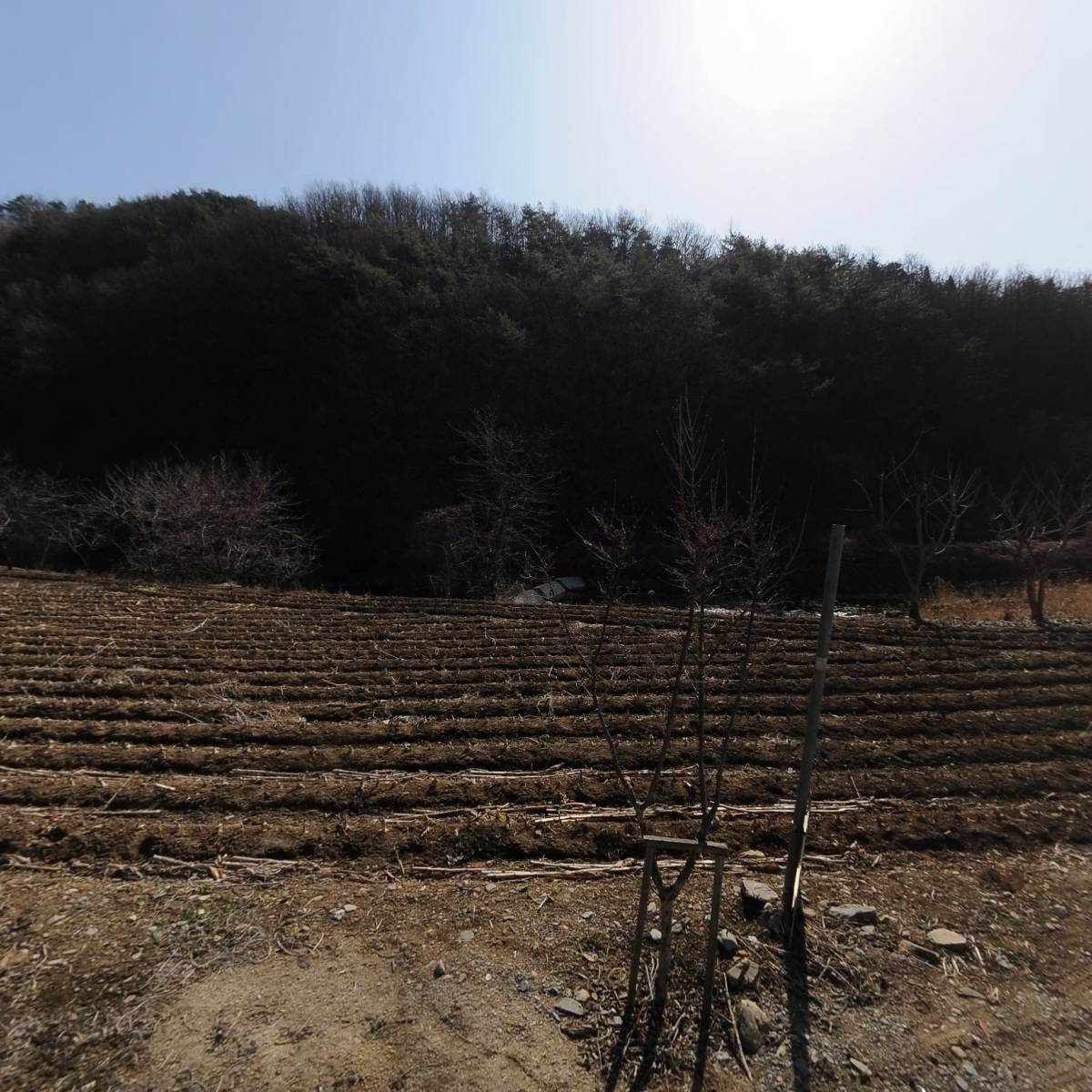 명성농장