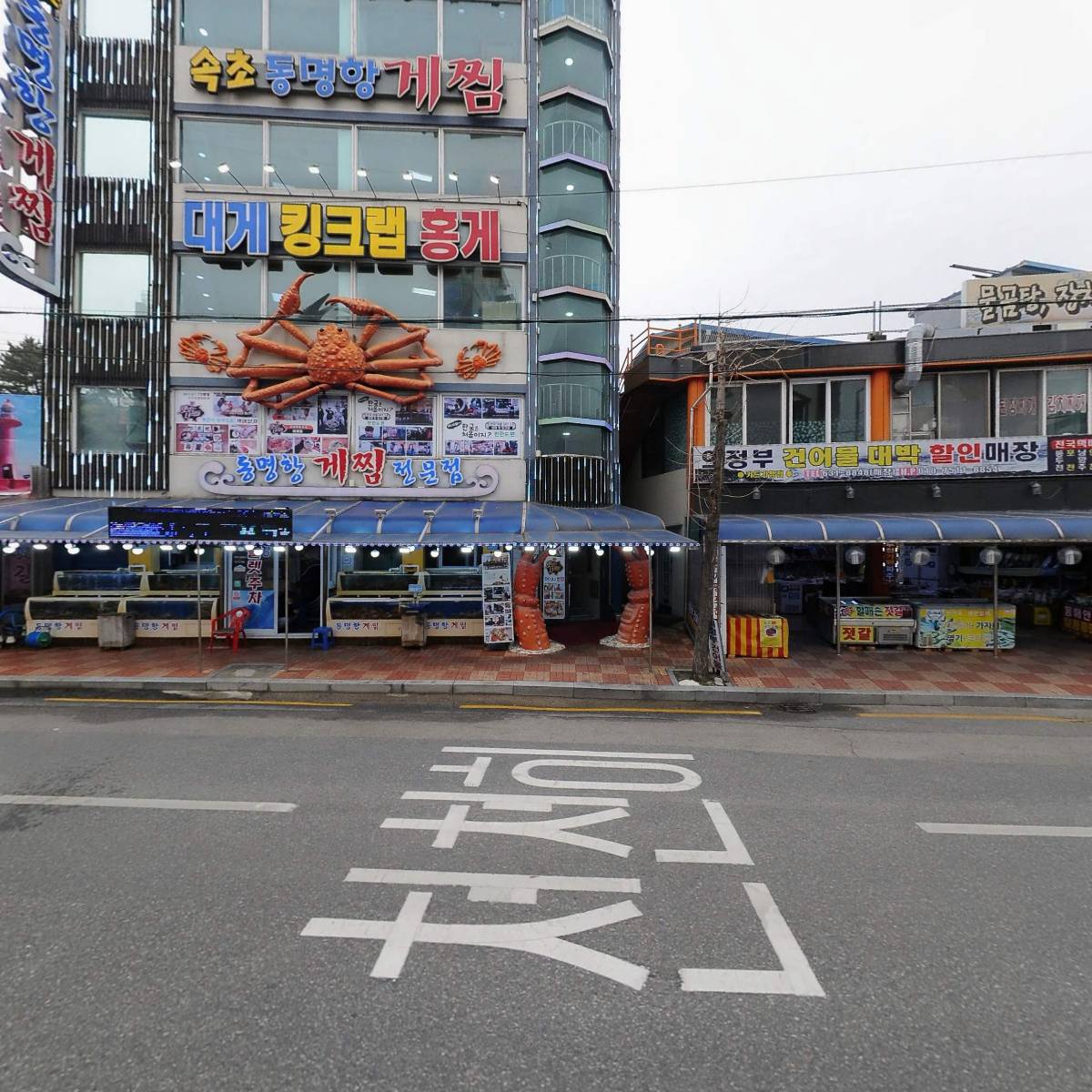 너도대게나도대게_3