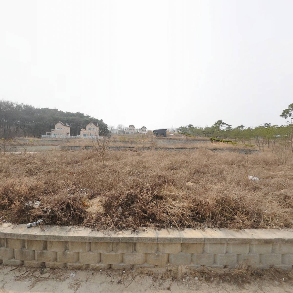 달빛정원