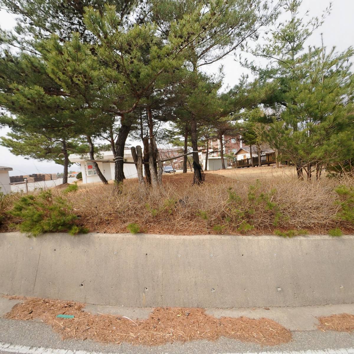 산림조합중앙회 동부산림사업본부