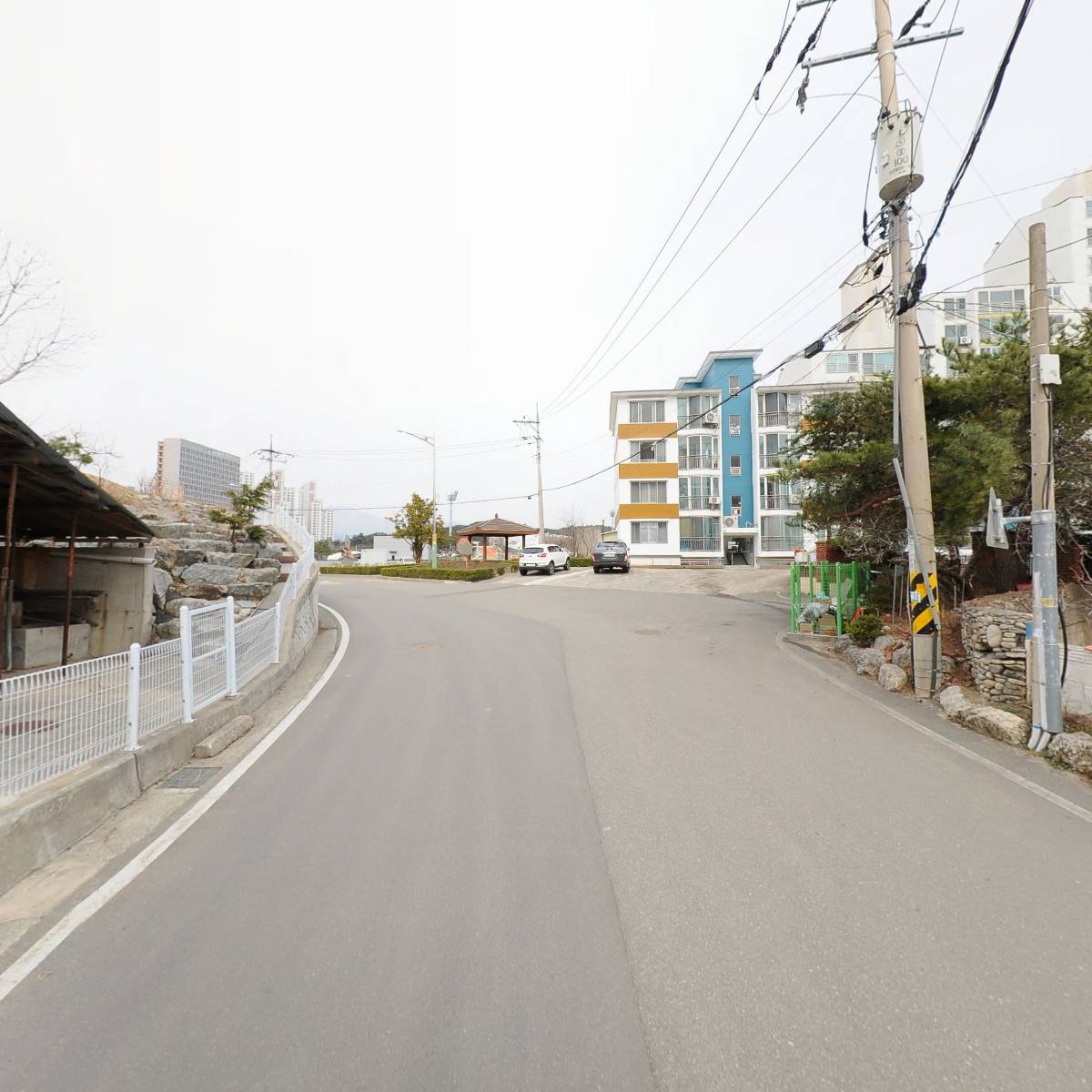 라온동물병원_2