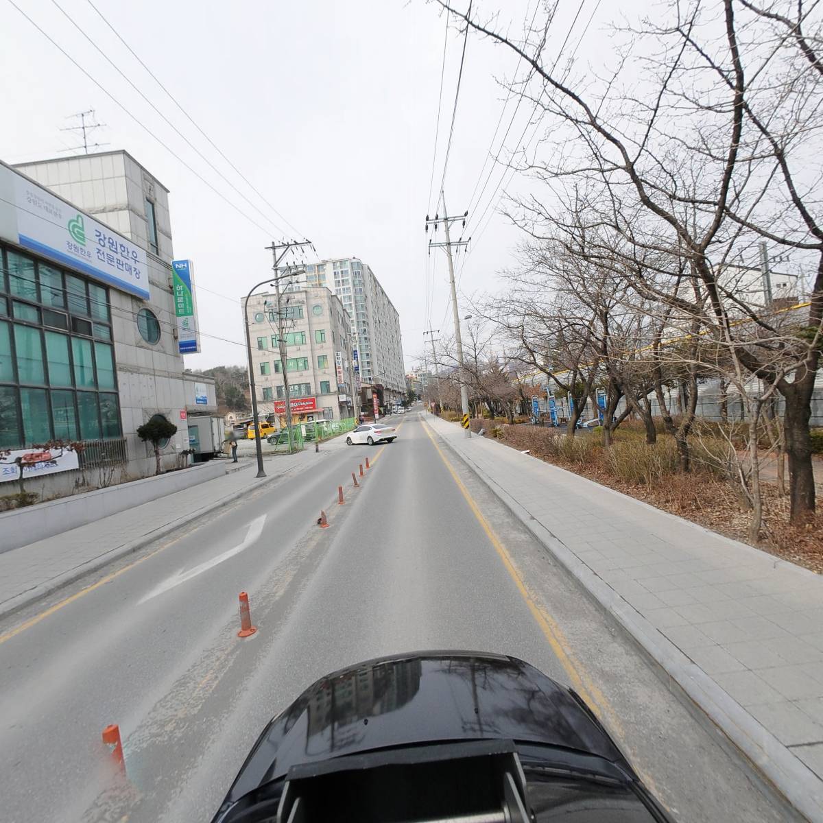 동해삼척태백축산업협동조합 상장지점_4