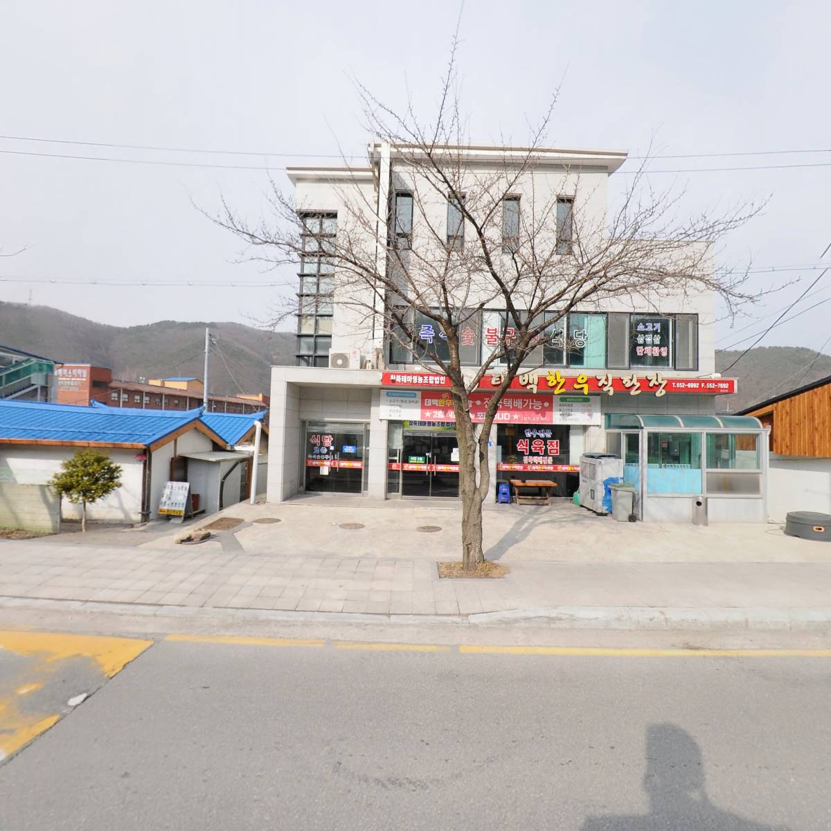 태백한우 컴퍼니_3