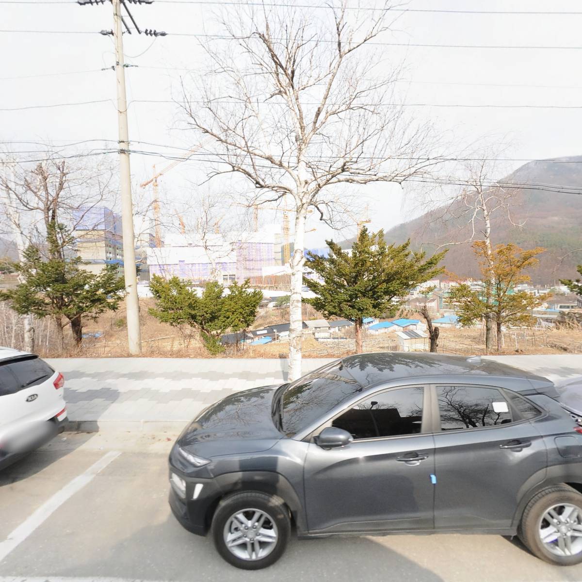 황지초등학교 제40회 동창회