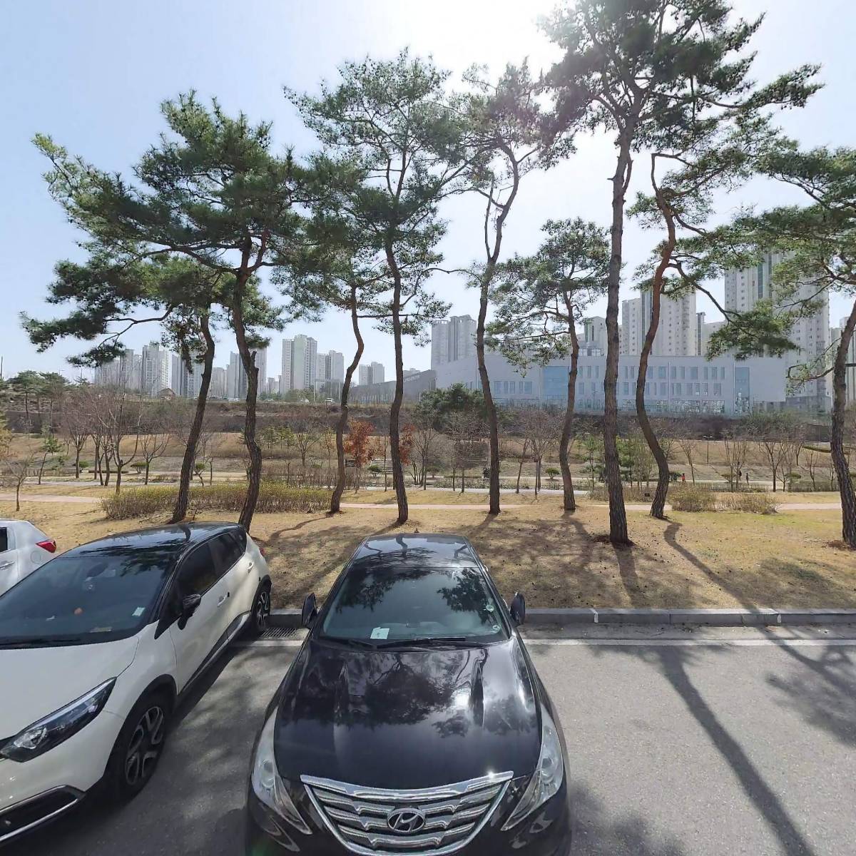 대영에너지(주)세종지점 다온알뜰주유소