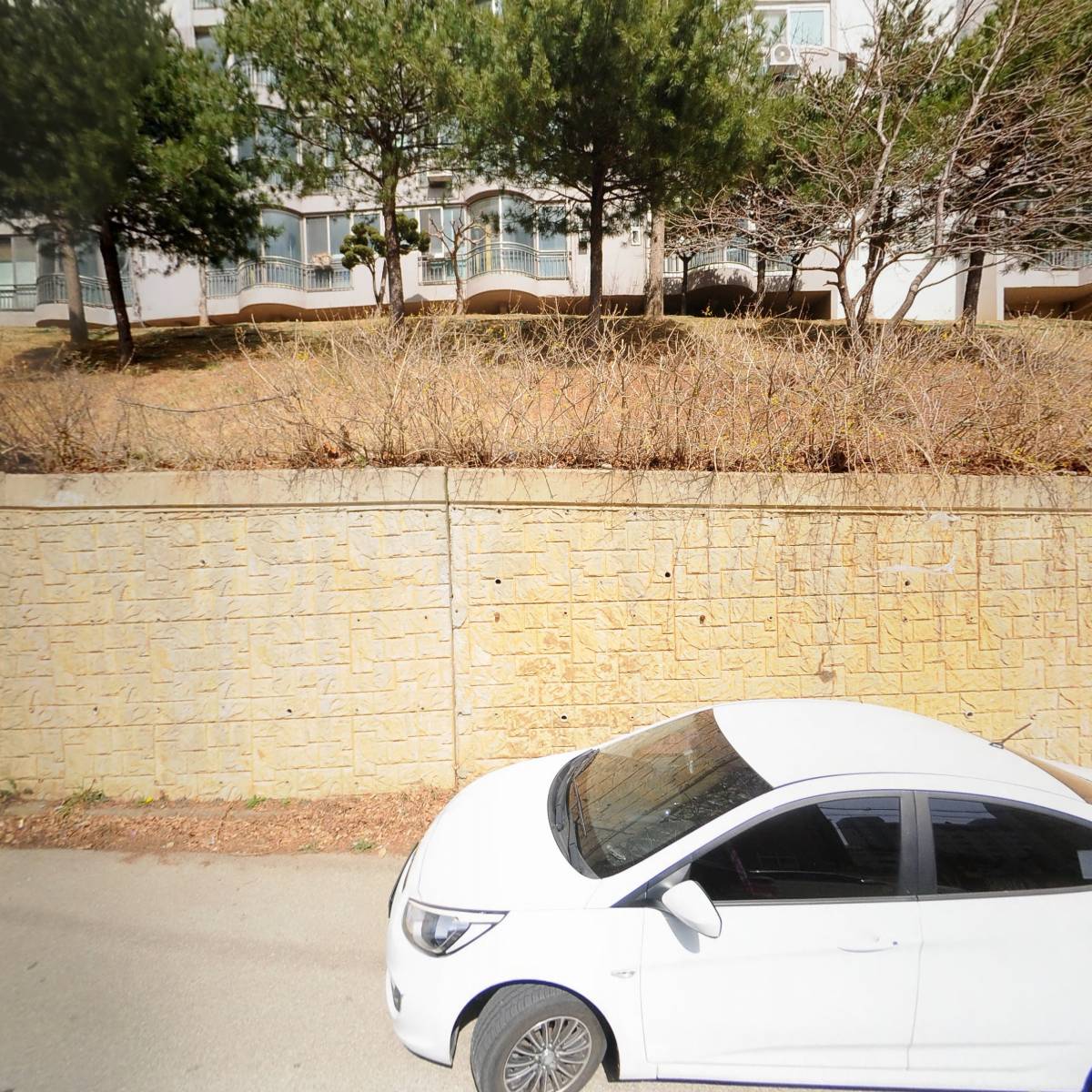 동해시새마을회