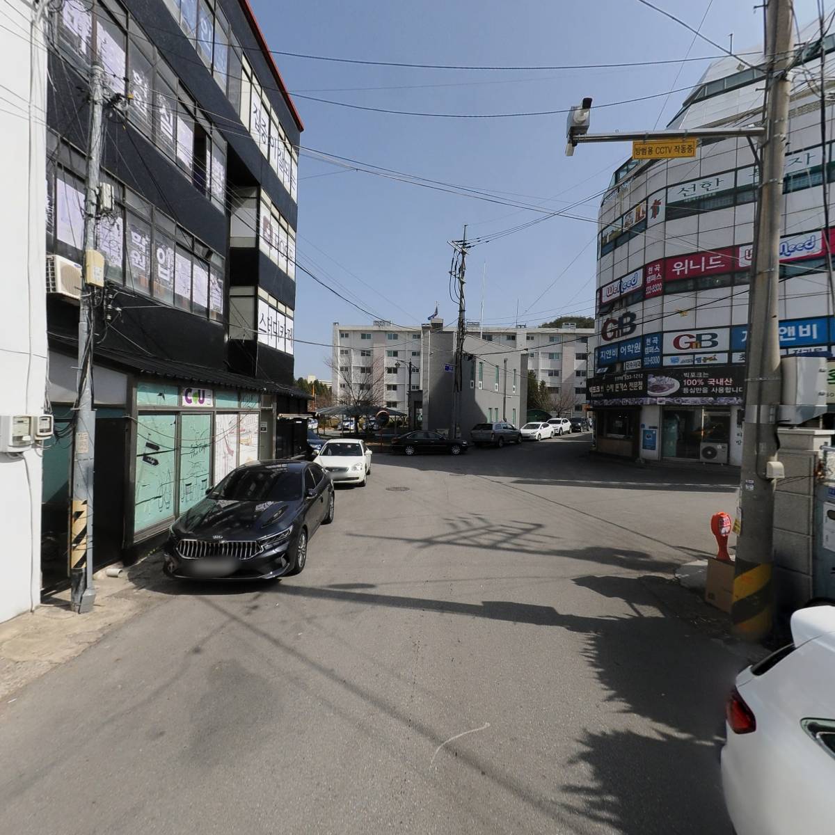 서진여행사주식회사_2